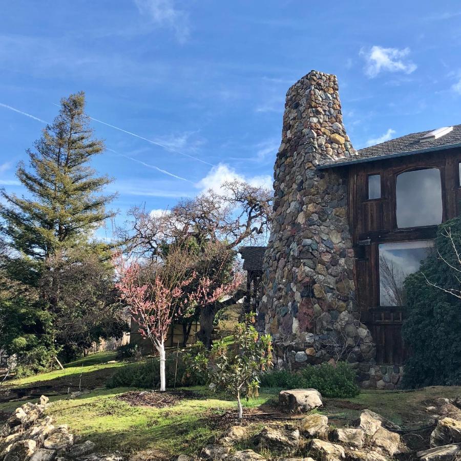 Paradiso Inn 5*